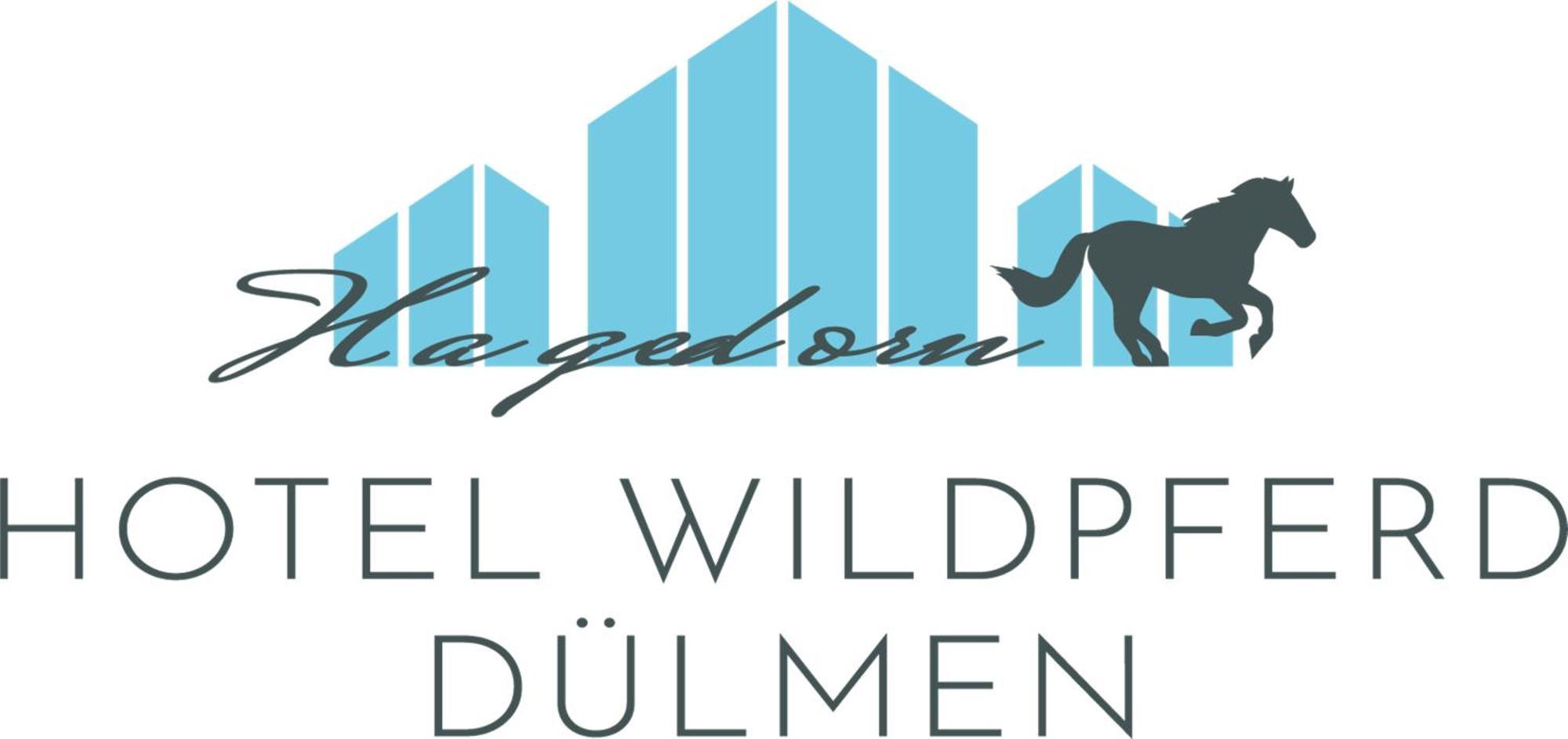 Hotel Wildpferd Duelmen Exterior photo
